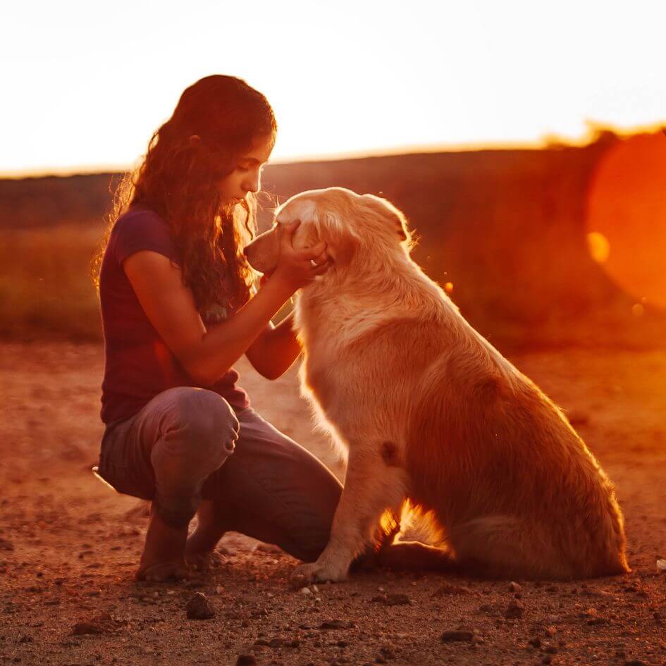 a woman in the sunset petting her dog
